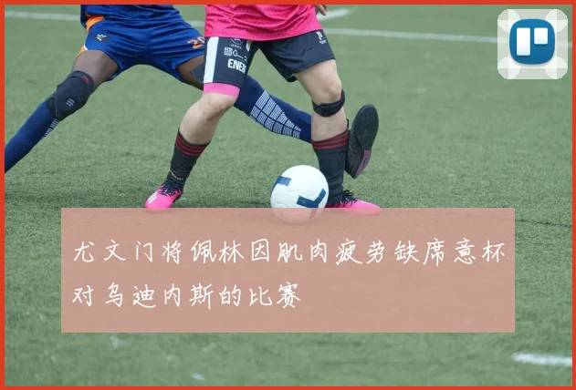 尤文门将佩林因肌肉疲劳缺席意杯对乌迪内斯的比赛